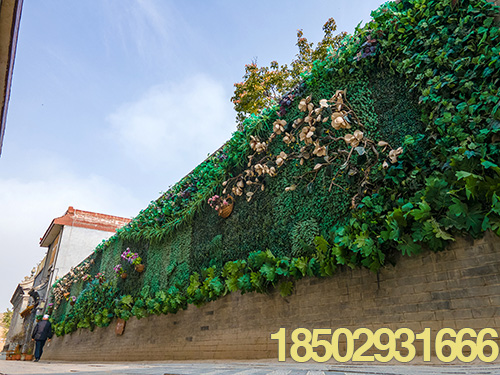 四川宣传片的剪辑风格