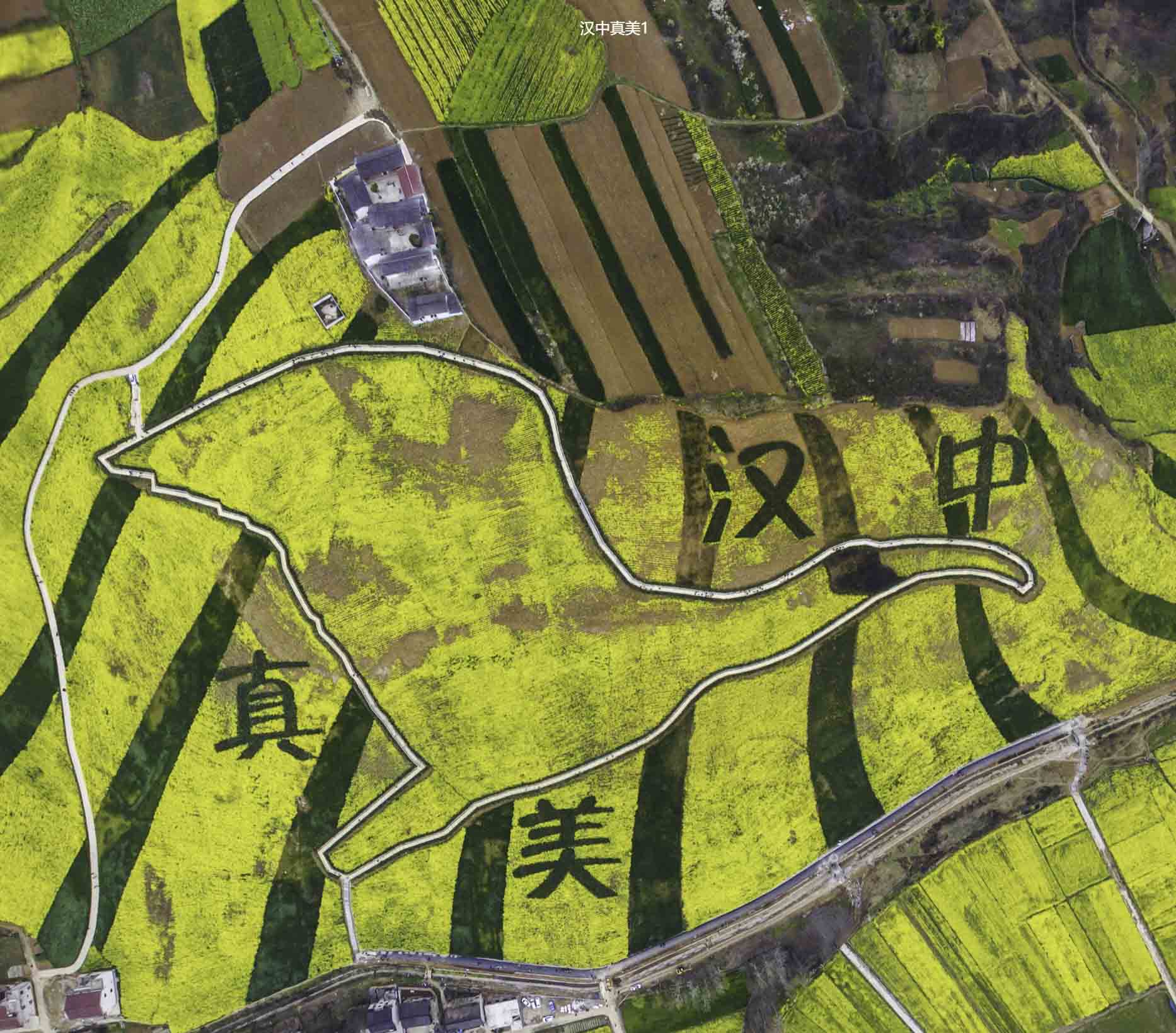 四川VR全景拍摄中的三维建模艺术：从现实到虚拟的再现